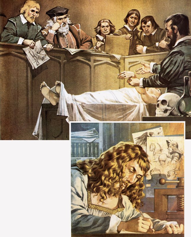 Demonstration af dissektion (øverst) og Durer-tegning (nederst) af Angus McBride