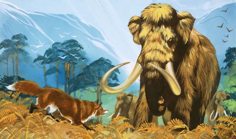 Ræv angriber mammut af Angus McBride