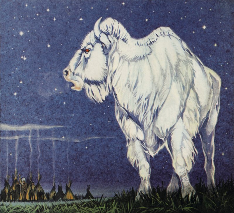 Den hvide bøffel (farvelitografi) af Angus McBride