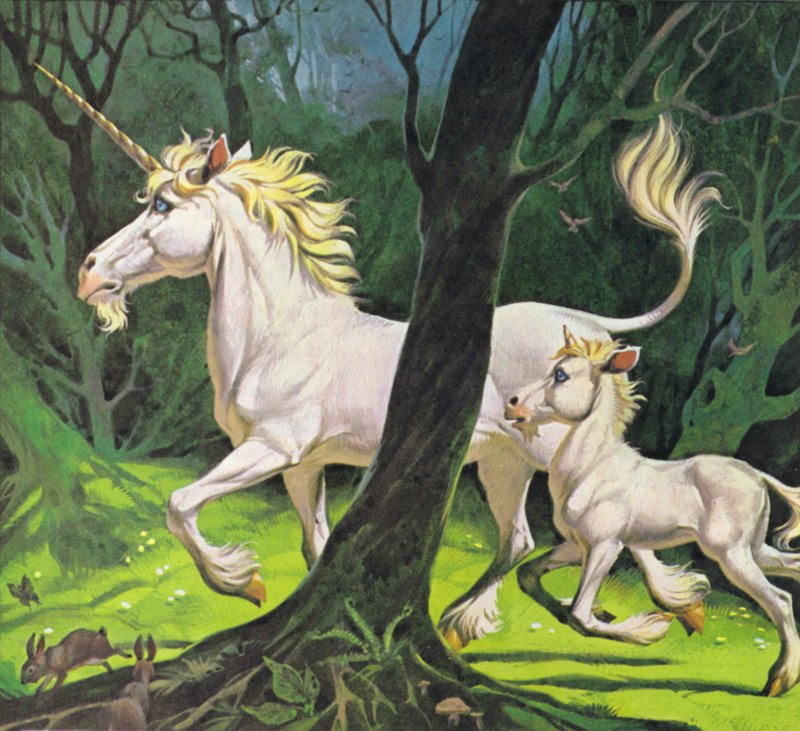 Enhjørninger (farvelitografi) af Angus McBride