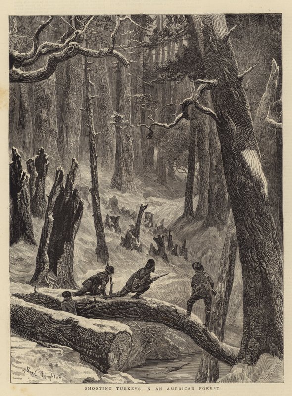 Skydning af kalkuner i en amerikansk skov af Arthur Boyd Houghton