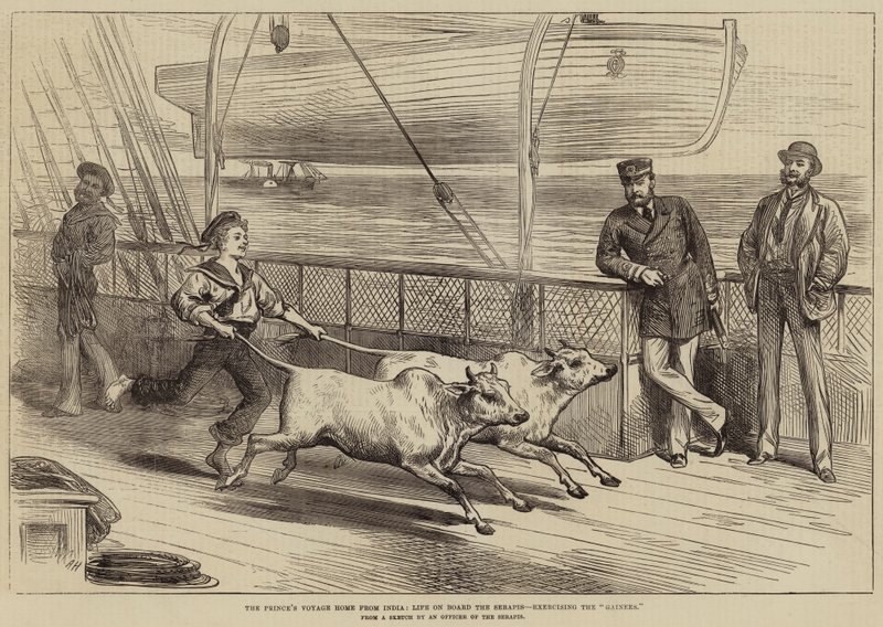 Prinsens rejse hjem fra Indien, livet om bord på Serapis, træning af Gainees af Arthur Hopkins