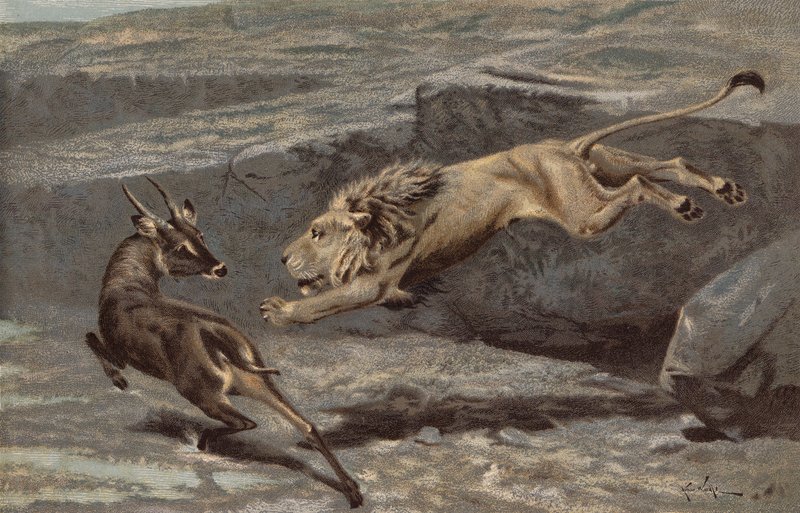 Et natligt angreb (chromolitho) af Arthur Wardle