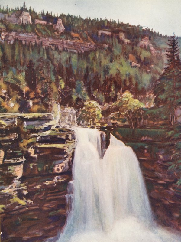 Frankrig: Le Saut Du Doubs (farvelitografi) af Auguste Gerardin