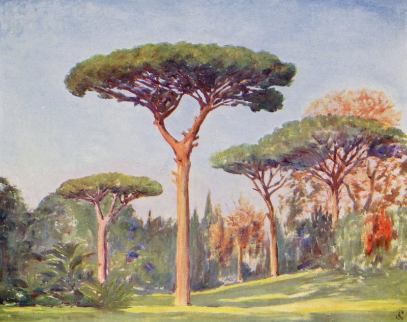 Rock Pines, Villa Floridiana (farvelitografi) af Augustine Fitzgerald