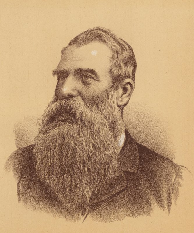 William Henry Paling, Esquire (farvelitografi) af Australian School