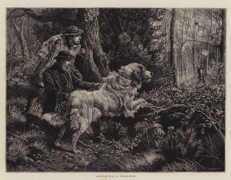 At fange en krybskytte af Basil Bradley