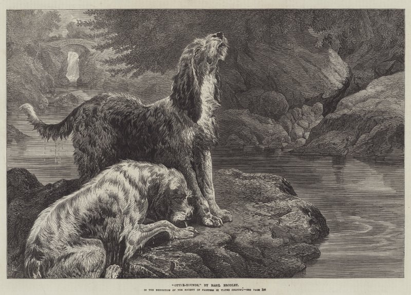 Otter-Hounds af Basil Bradley