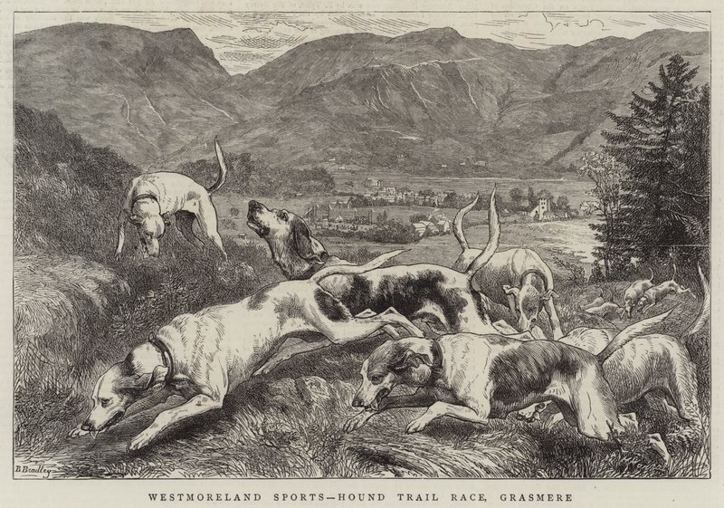 Westmoreland Sports, Hound Trial Race, Grasmere af Basil Bradley