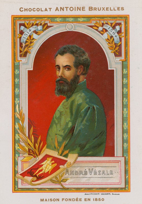 Andreas Vesalius, flamsk anatom og læge fra det 16. århundrede af Belgian School