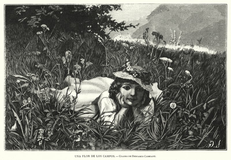 En blomst af markerne (litho) af Benjamin  Constant
