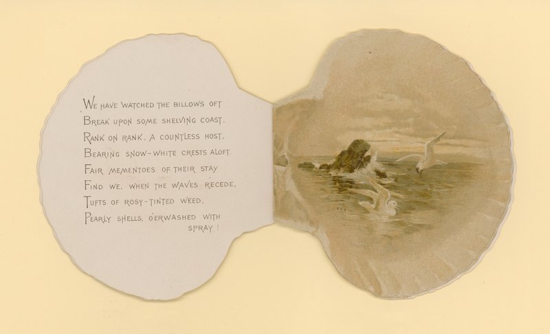 Illustration til hæfte med titlen Sea Shells (color litho) af Benjamin D. Sigmund