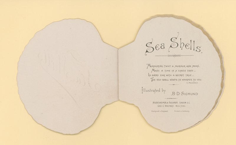 Illustration til hæfte med titlen Sea Shells (color litho) af Benjamin D. Sigmund