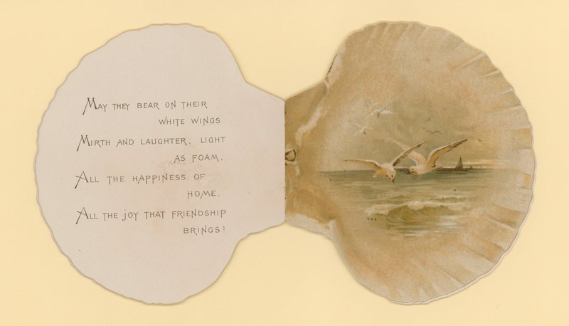 Illustration til hæfte med titlen Sea Shells (color litho) af Benjamin D. Sigmund