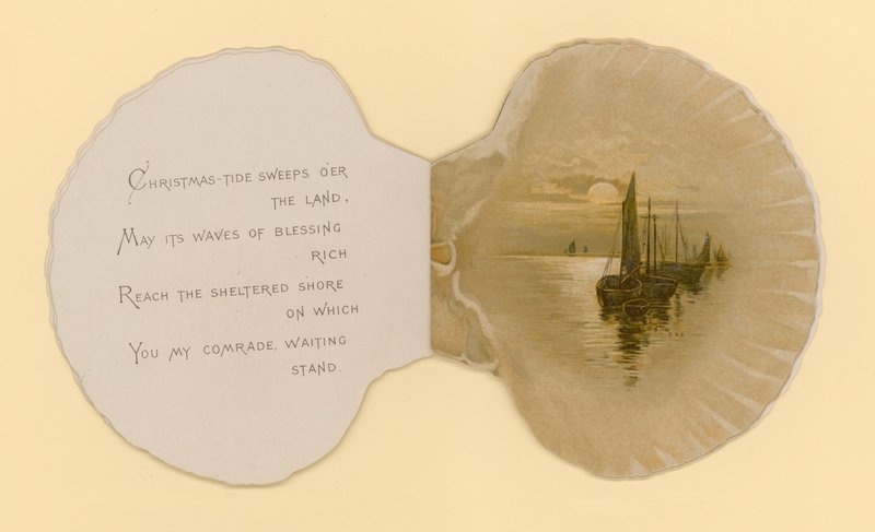 Illustration til hæfte med titlen Sea Shells (color litho) af Benjamin D. Sigmund