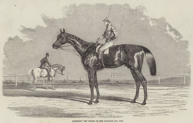 Kingston, vinderen af Goodwood Cup, 1852 af Benjamin Herring