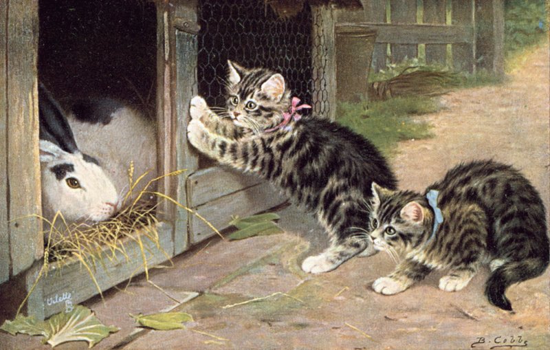 Kattepostkort (farvelitografi) af Bernard Cobbe