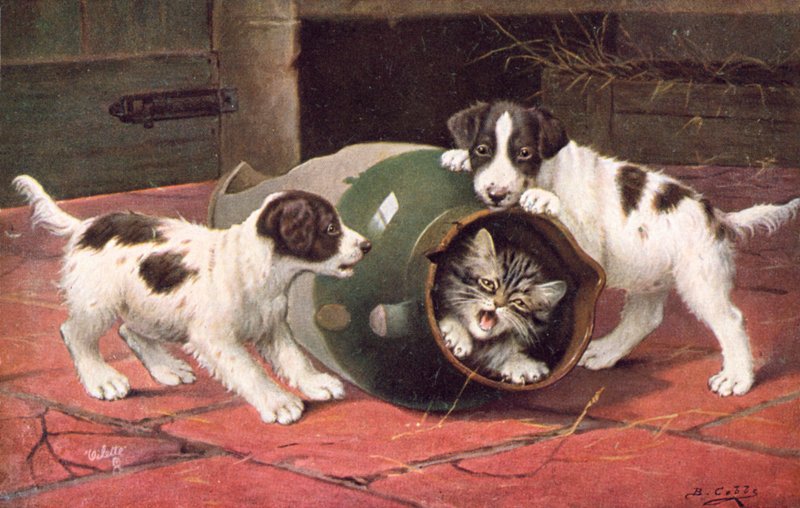 Postkort med kat (farvelitografi) af Bernard Cobbe
