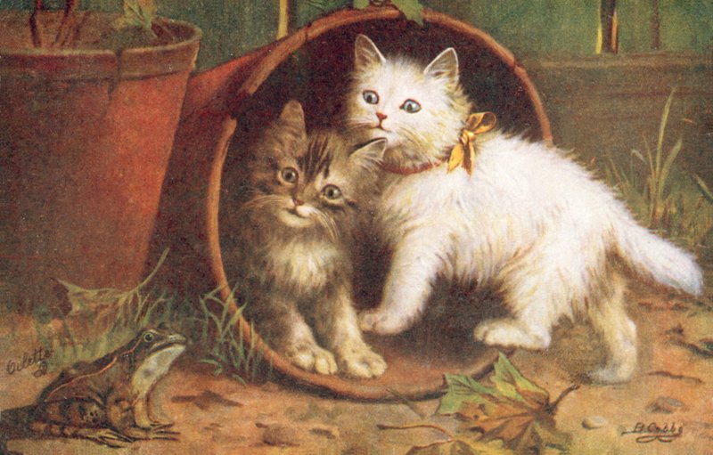 Postkort med kat (farvelitografi) af Bernard Cobbe