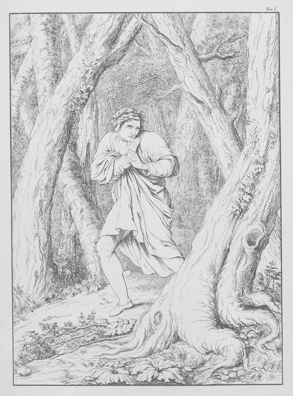 Dantes Guddommelige Komedie, Inferno (Helvede), planche I (litografi) af Bernhard Schuler