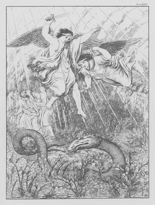 Dantes guddommelige komedie, Purgatorio (Skærsilden), plade XIV (litografi) af Bernhard Schuler