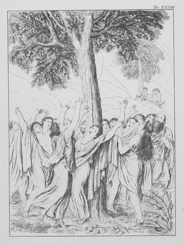 Dantes Guddommelige Komedie, Purgatorio (Skærsilden), planche XXXIII (litografi) af Bernhard Schuler
