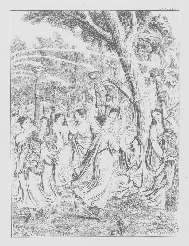 Dantes guddommelige komedie, Purgatorio (Skærsilden), plade XXXIX (litografi) af Bernhard Schuler