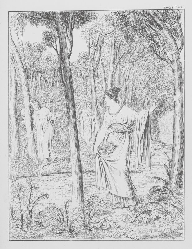 Dantes Guddommelige Komedie, Purgatorio (Skærsilden), planche XXXVI (litografi) af Bernhard Schuler