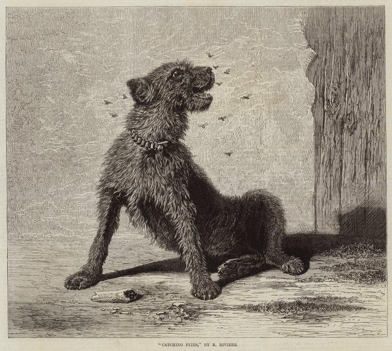 at fange fluer af Briton Riviere