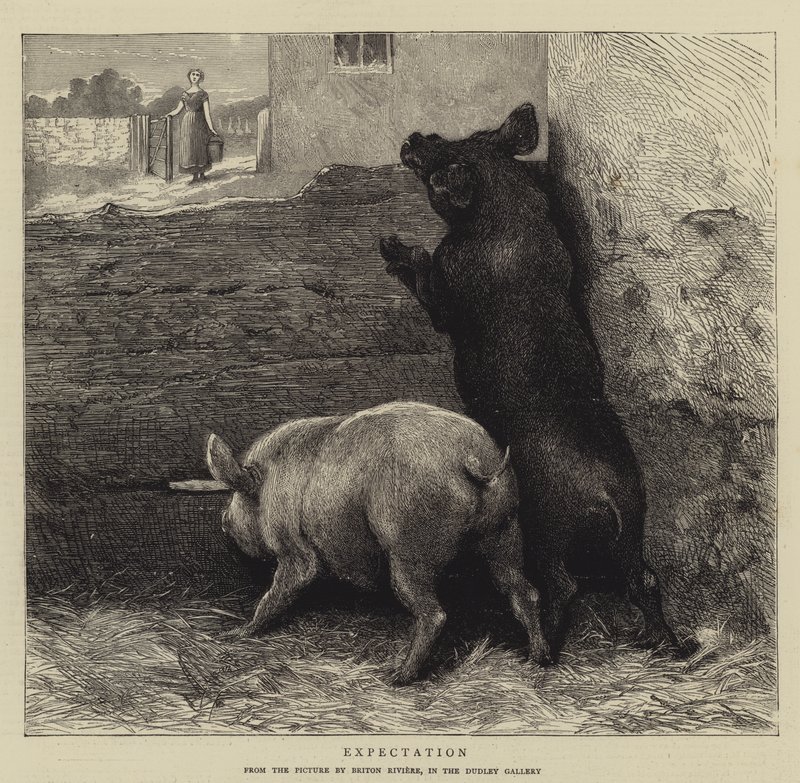 Forventning af Briton Riviere