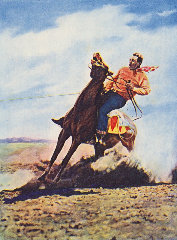 Cowboy bringer sin hest til et hurtigt stop (farvefoto) af Canadian Photographer