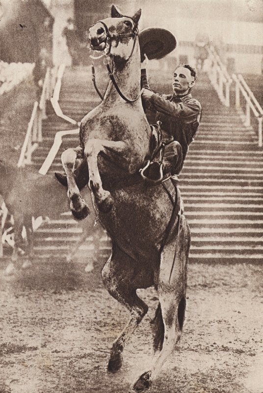 Cowboy har kontrol over en hest, der stejler (s/h-foto) af Canadian Photographer
