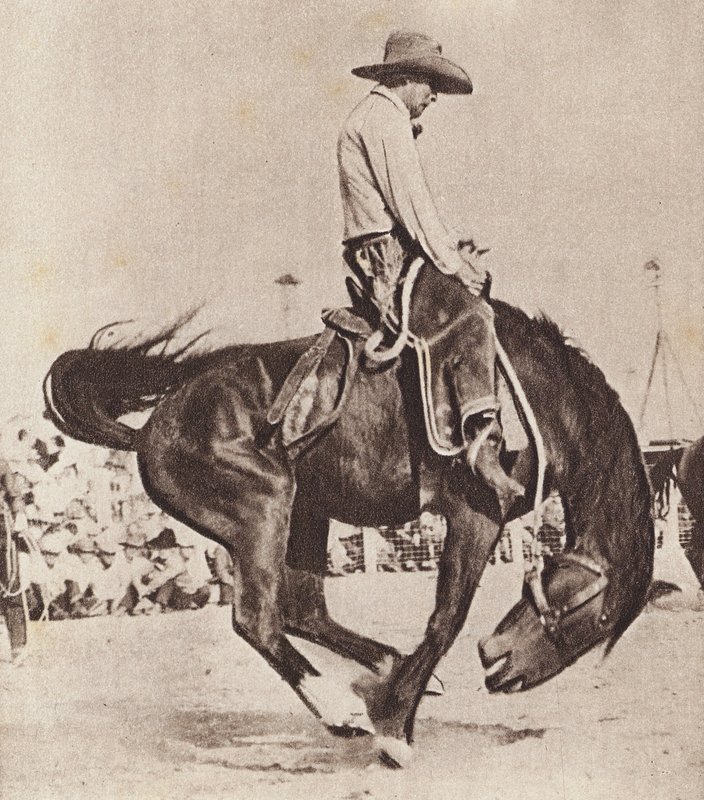 Cowboy rider på en bukkende bronco (s/h-foto) af Canadian Photographer