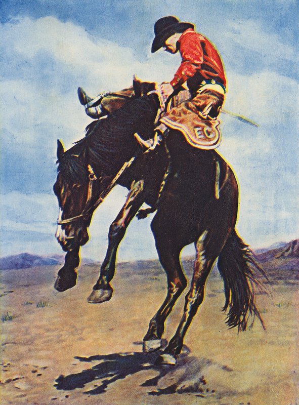 Cowboy rider på en bukkende bronco (foto i farver) af Canadian Photographer
