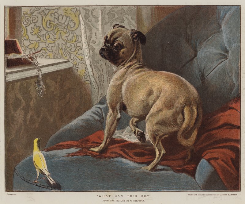 Hvad kan det være (chromolitho) af Carl Constantin Steffeck