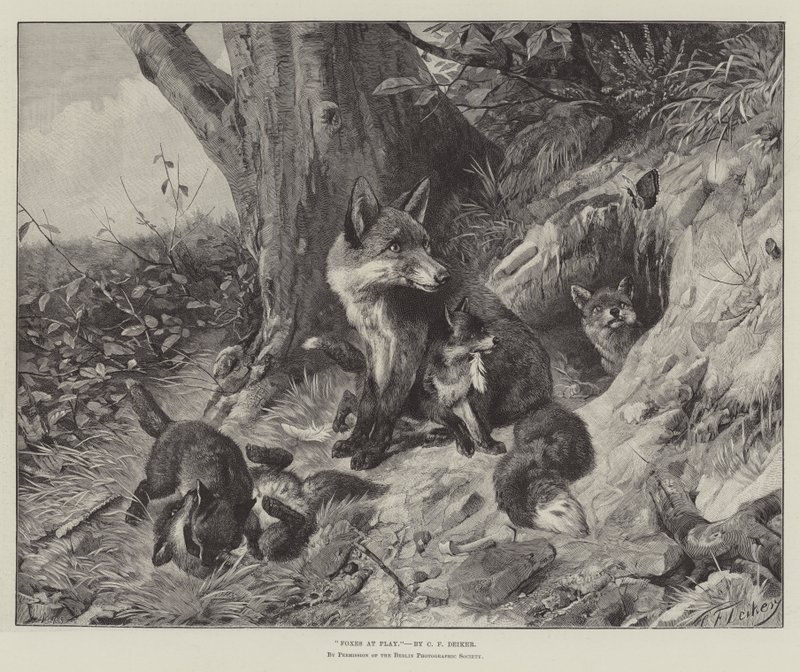 Ræve på leg af Carl Friedrich Deiker