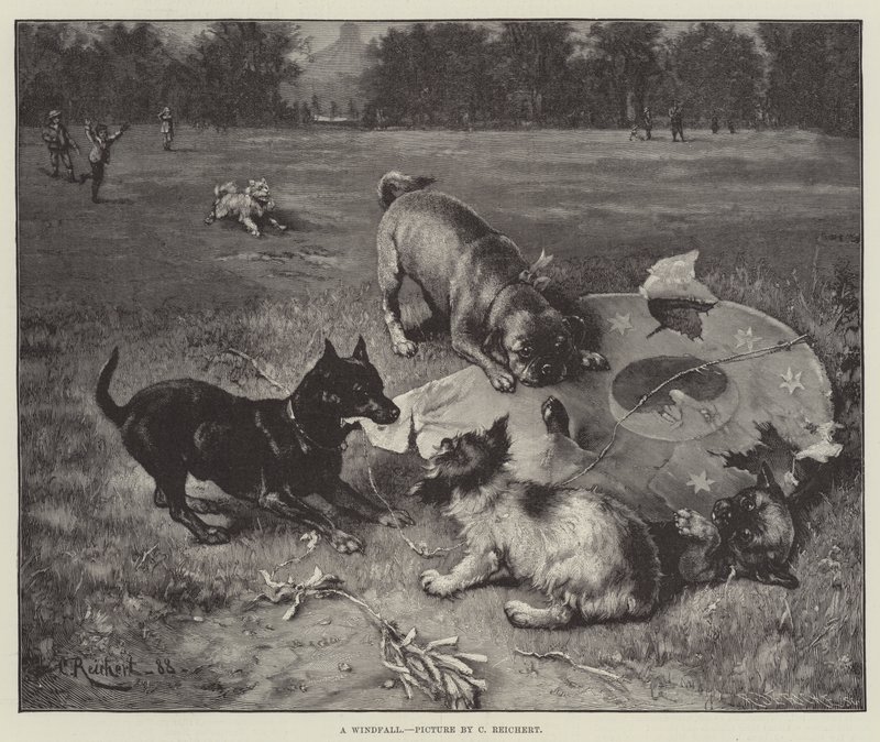 Et vindfald af Carl Reichert