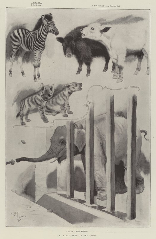 Et babyshow i zoologisk have af Cecil Charles Windsor Aldin