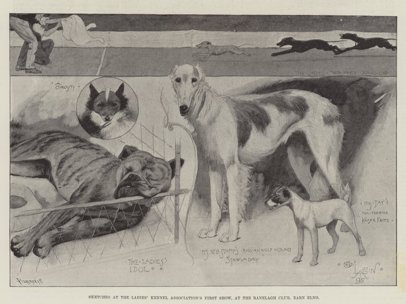 Skitser ved Damernes Kennelforenings første udstilling, i Ranelagh Klubben, Barn Elms af Cecil Charles Windsor Aldin