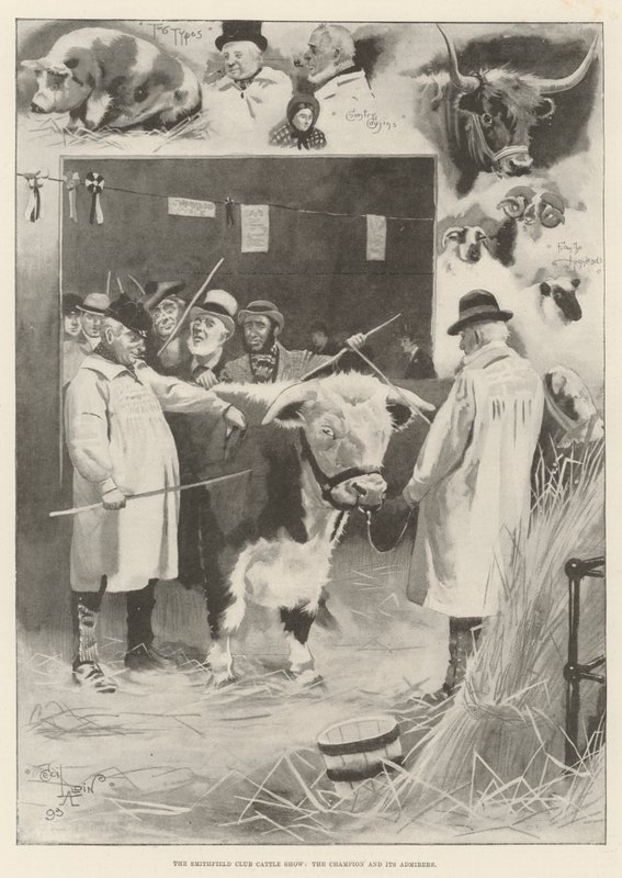 Smithfield Club Cattle Show, Championen og dens beundrere af Cecil Charles Windsor Aldin