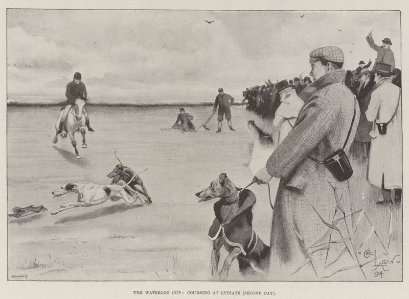 Waterloo Cup, kurset på Lydiate, anden dag af Cecil Charles Windsor Aldin