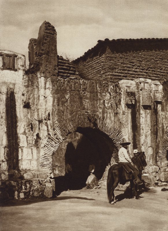Mexico: Oaxaca, Tuberia espanola (s/h foto) af Cecile Seler Sachs