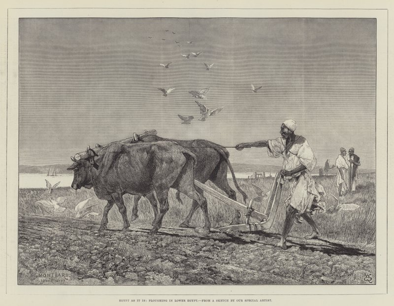 Egypten som det er, pløjer i Nedre Egypten af Charles Auguste Loye