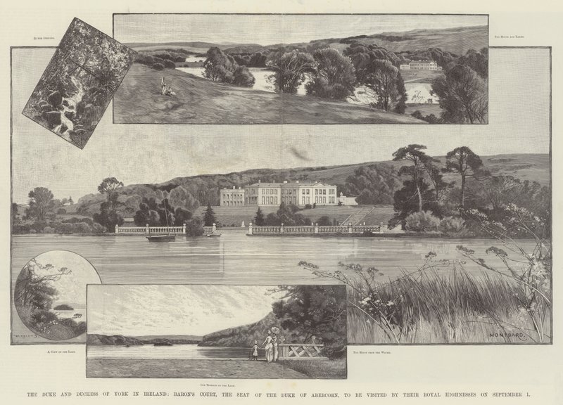 Hertugen og hertuginden af York i Irland, Baron