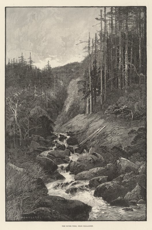 The River Torc, nær Killarney af Charles Auguste Loye