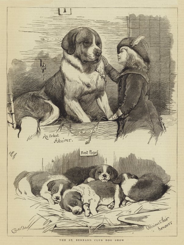 St Bernard Club Hundeudstilling af Charles Burton