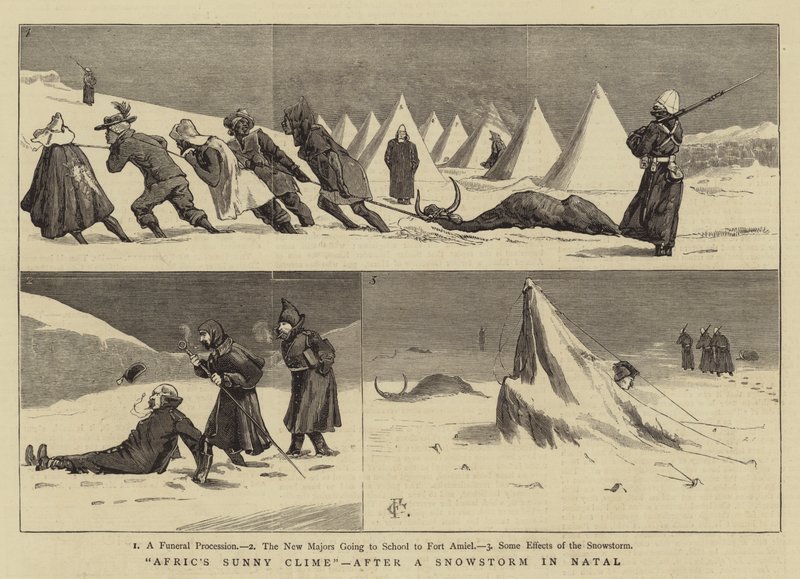 Afrikas solrige klima efter en snestorm i Natal af Charles Edwin Fripp