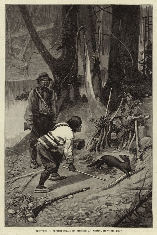 Trappers i British Columbia finde et dyr i deres fælde af Charles Edwin Fripp