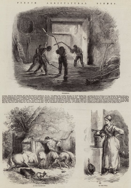 Franske Landbrugsscener af Charles Emile Jacque