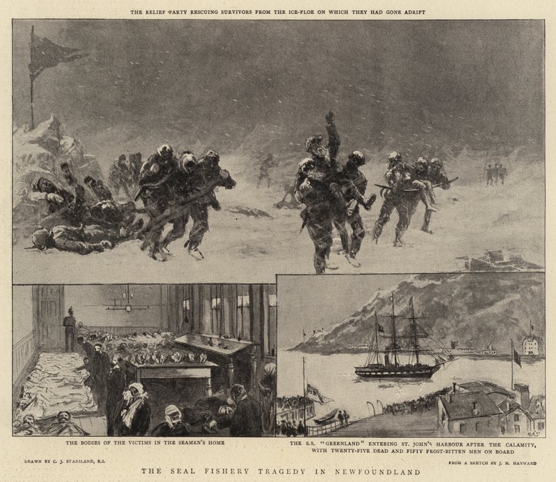 Sælfiskeritragedien i Newfoundland af Charles J. Staniland